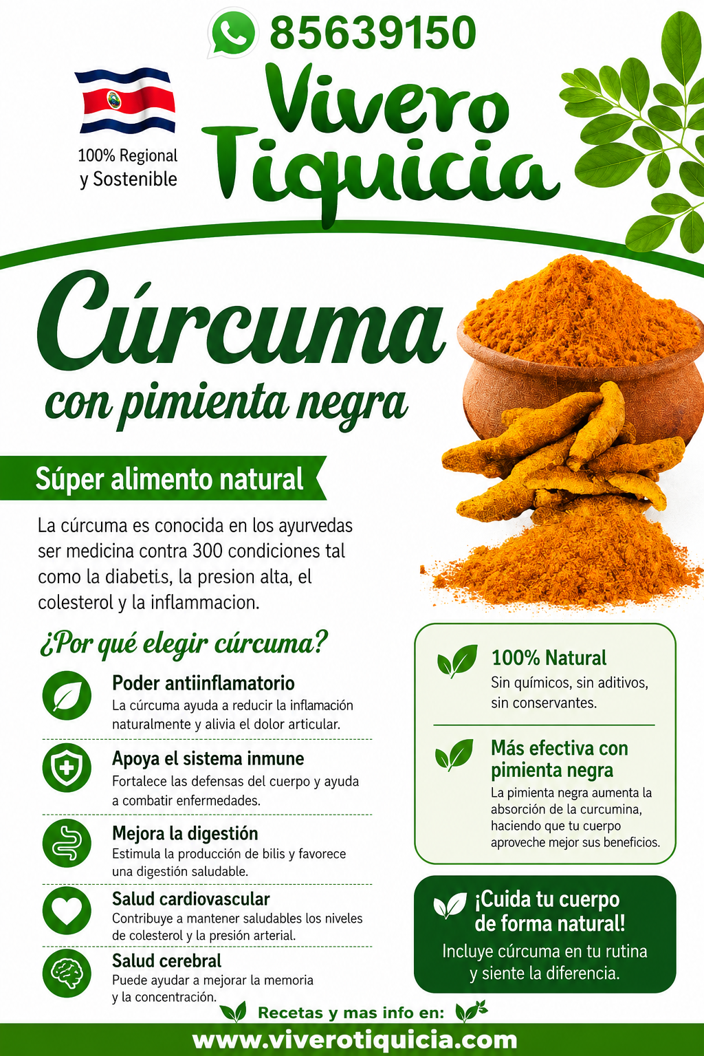Cúrcuma Infoflyer