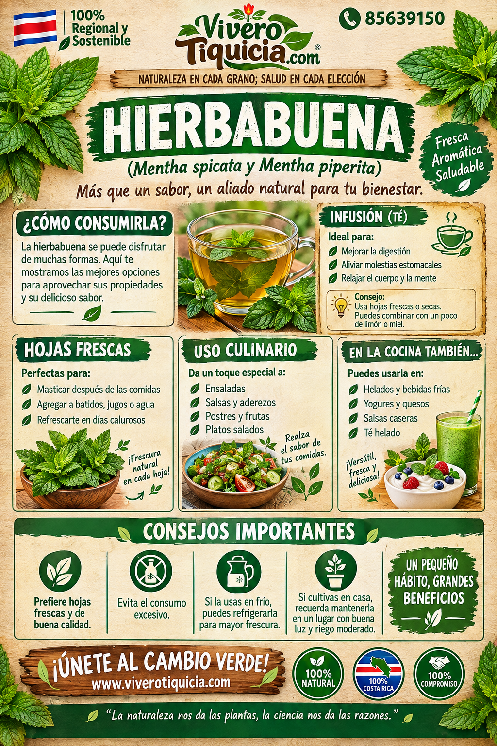 Hierba buena Infoflyer