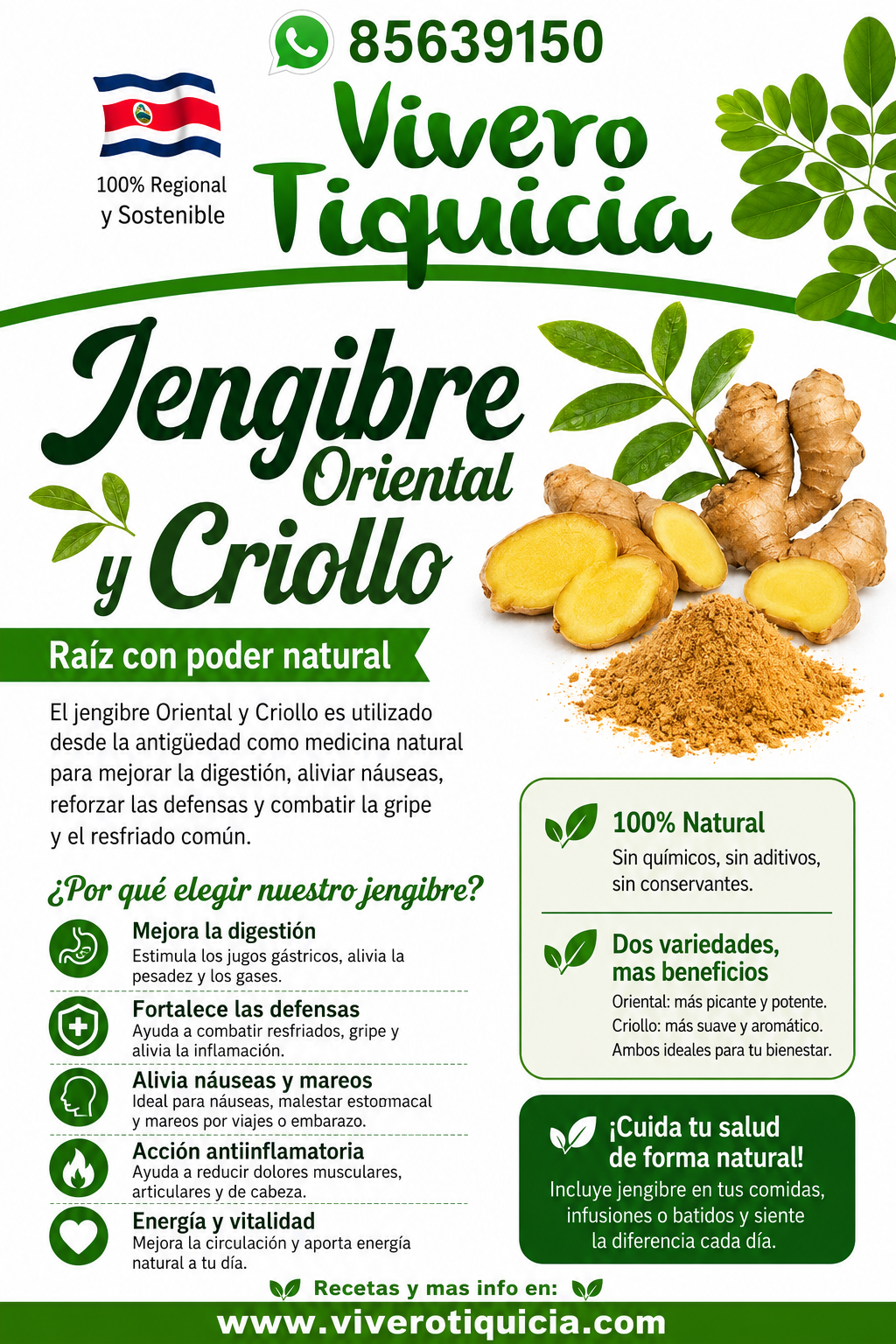 Jengibre Infoflyer
